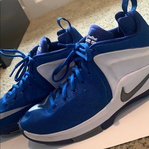Lebron Basketball shoes